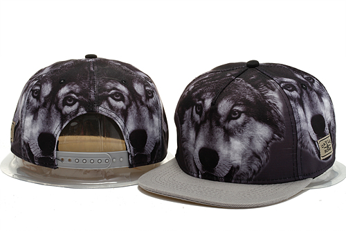 Cayler And Sons Snapback Hat #181